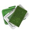 Artificial Turf Dog Urine Mat Set - Image 4