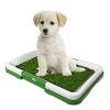 Artificial Turf Dog Urine Mat Set