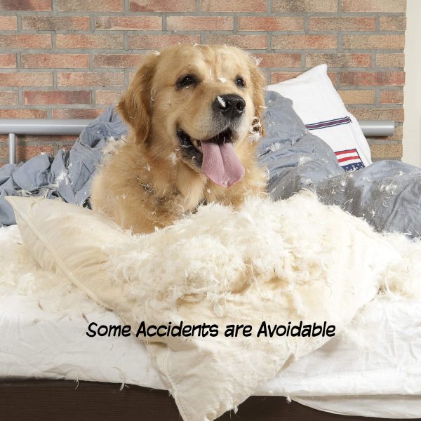 4 Panel Indoor Foldable Dog Fence - Image 5