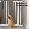 White walk-through pet door - Image 5