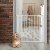 White walk-through pet door