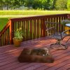 2-layer memory foam pet pad - Image 6