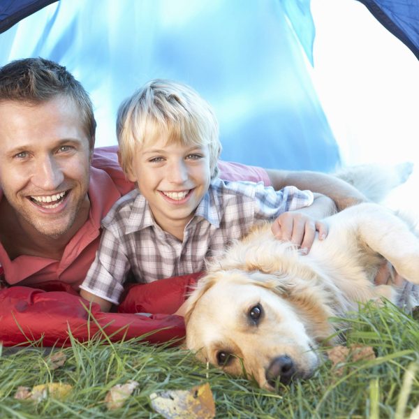 2-layer memory foam pet pad - Image 2